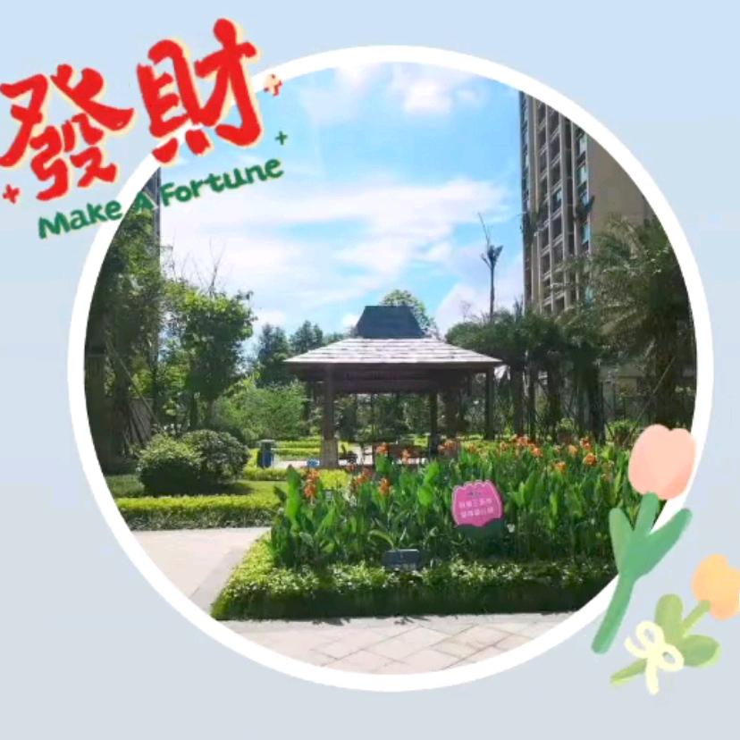 Hello，大家好
