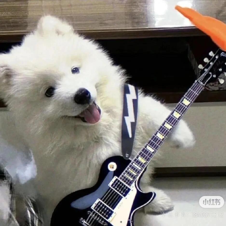 🍊橘子味的吐司つ♡⊂