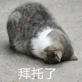 默默的闺蜜-大琦琦.