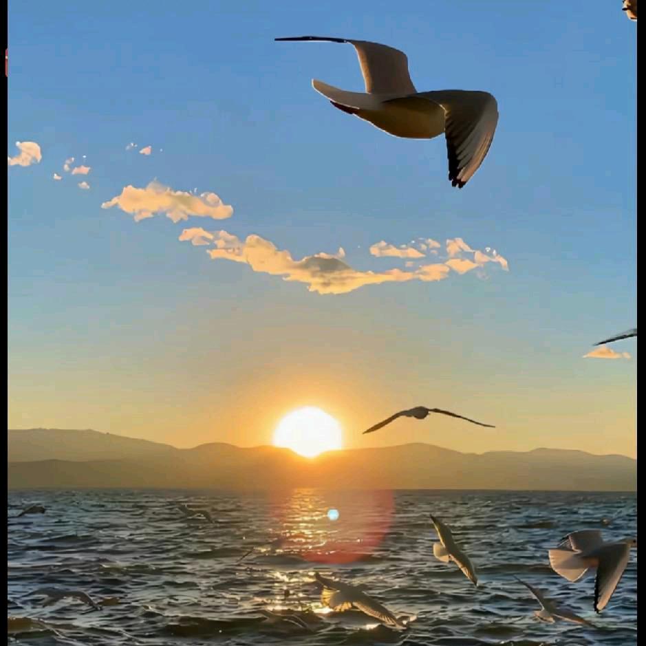 福禄𓆡𓆝𓆟𓆜𓆞