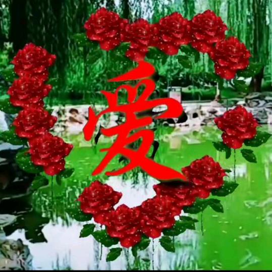 吴🌺小🌸梅🌹🌹