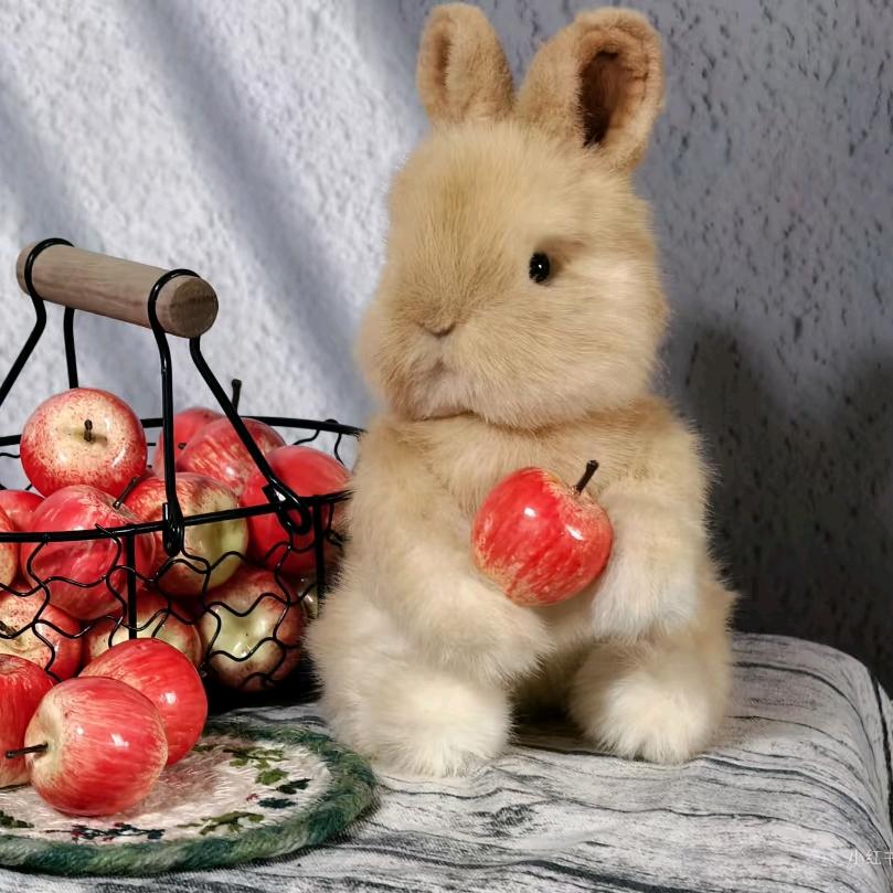 萌仔仔毛绒玩偶