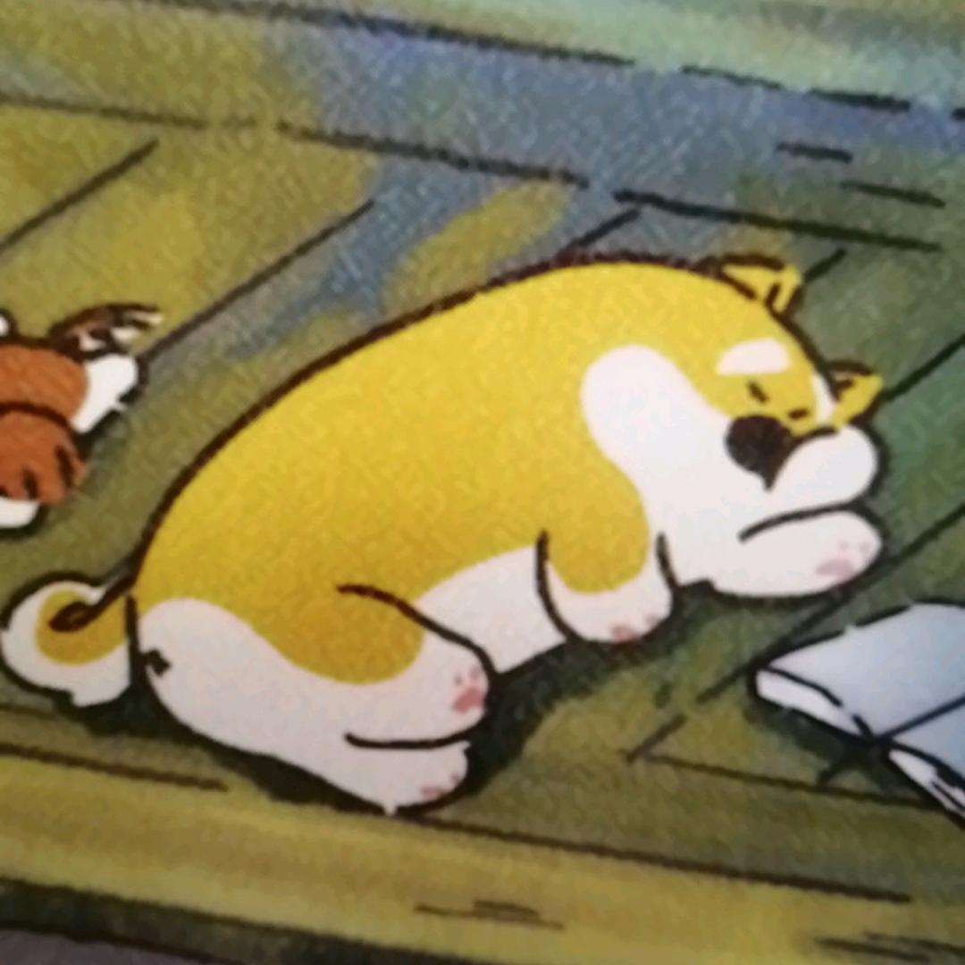 风和日丽