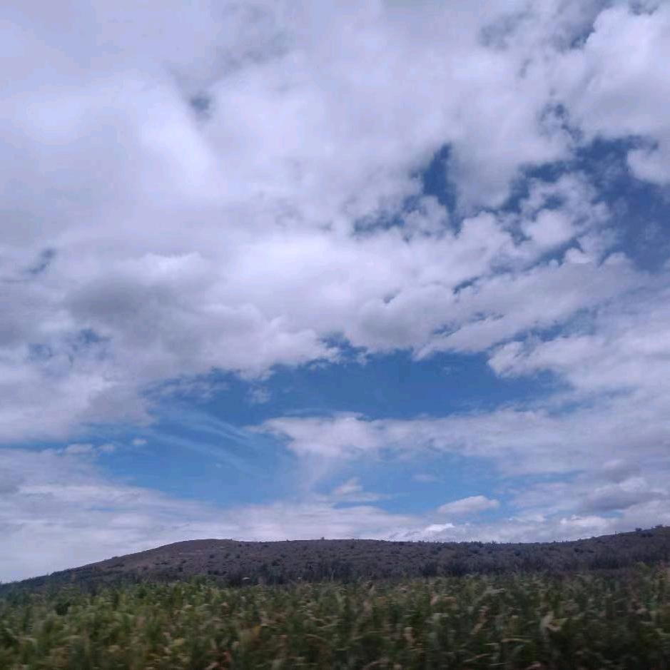 🌻霞、岁月静好🌻