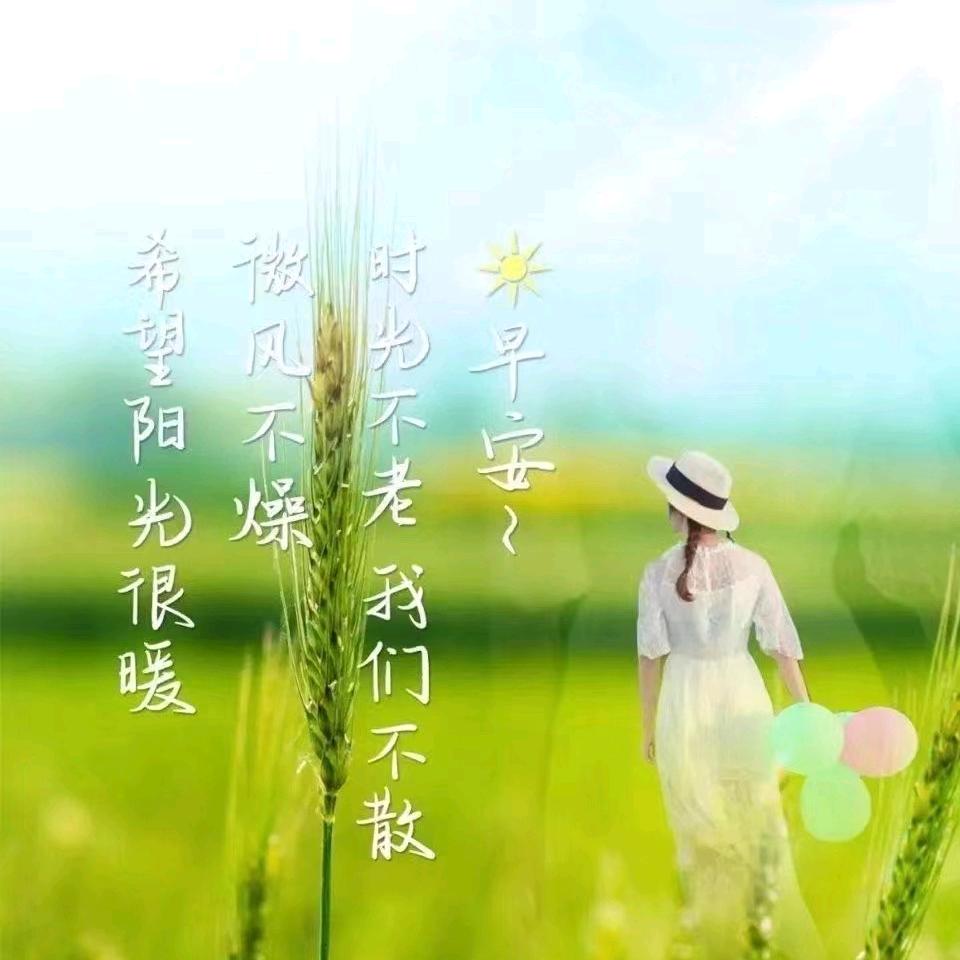 风雨人生