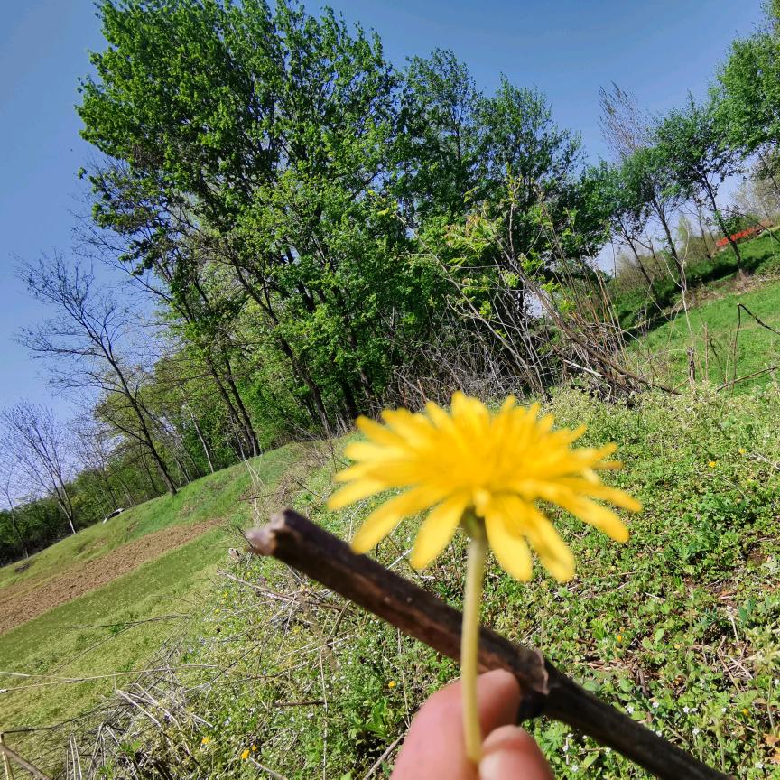 烟火里的风景