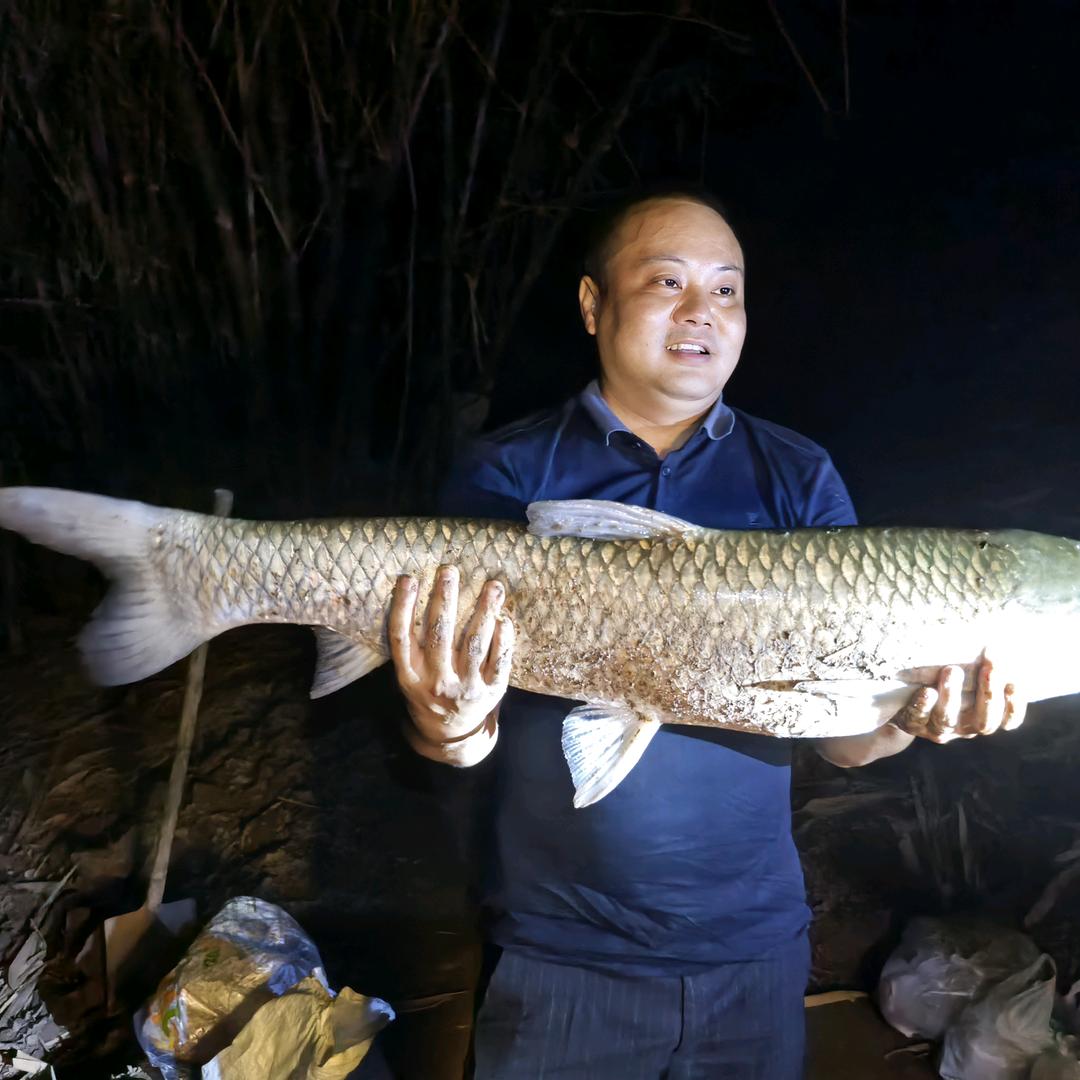 达人（钓草鱼）