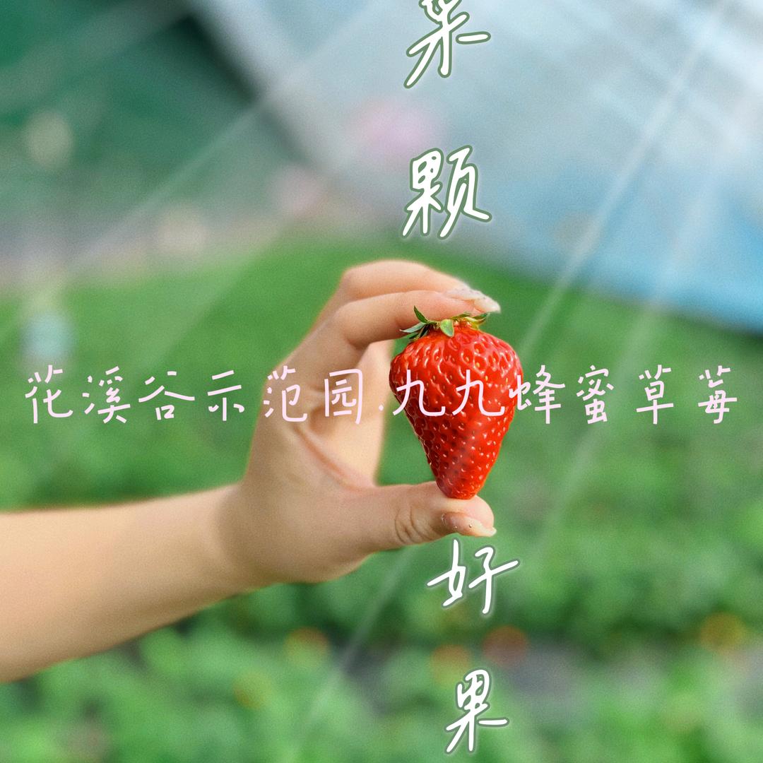 四平花溪谷草莓采摘园