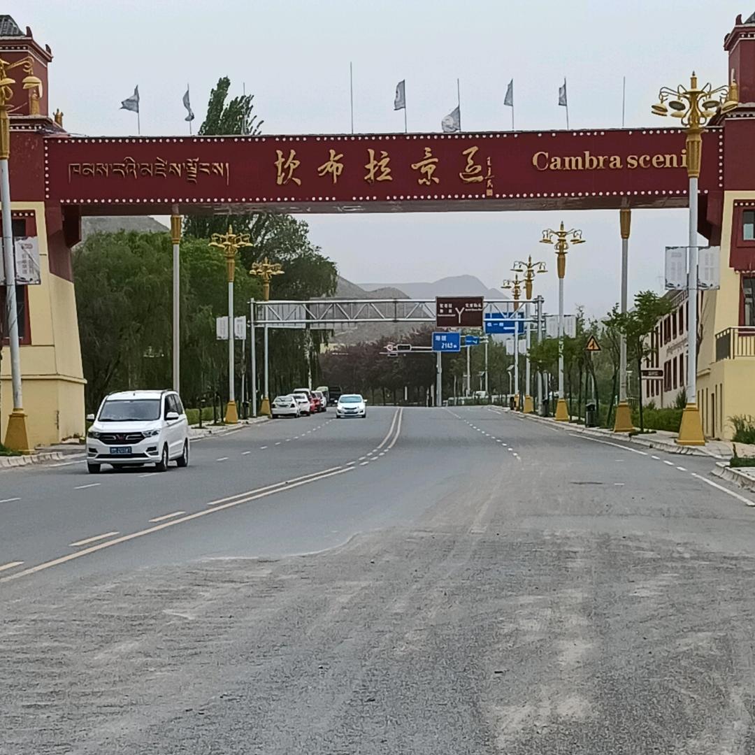 金钱豹