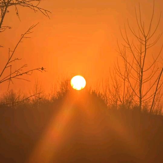 ༄ᐝ消失🍀的爱໊ഒᩚ࿐