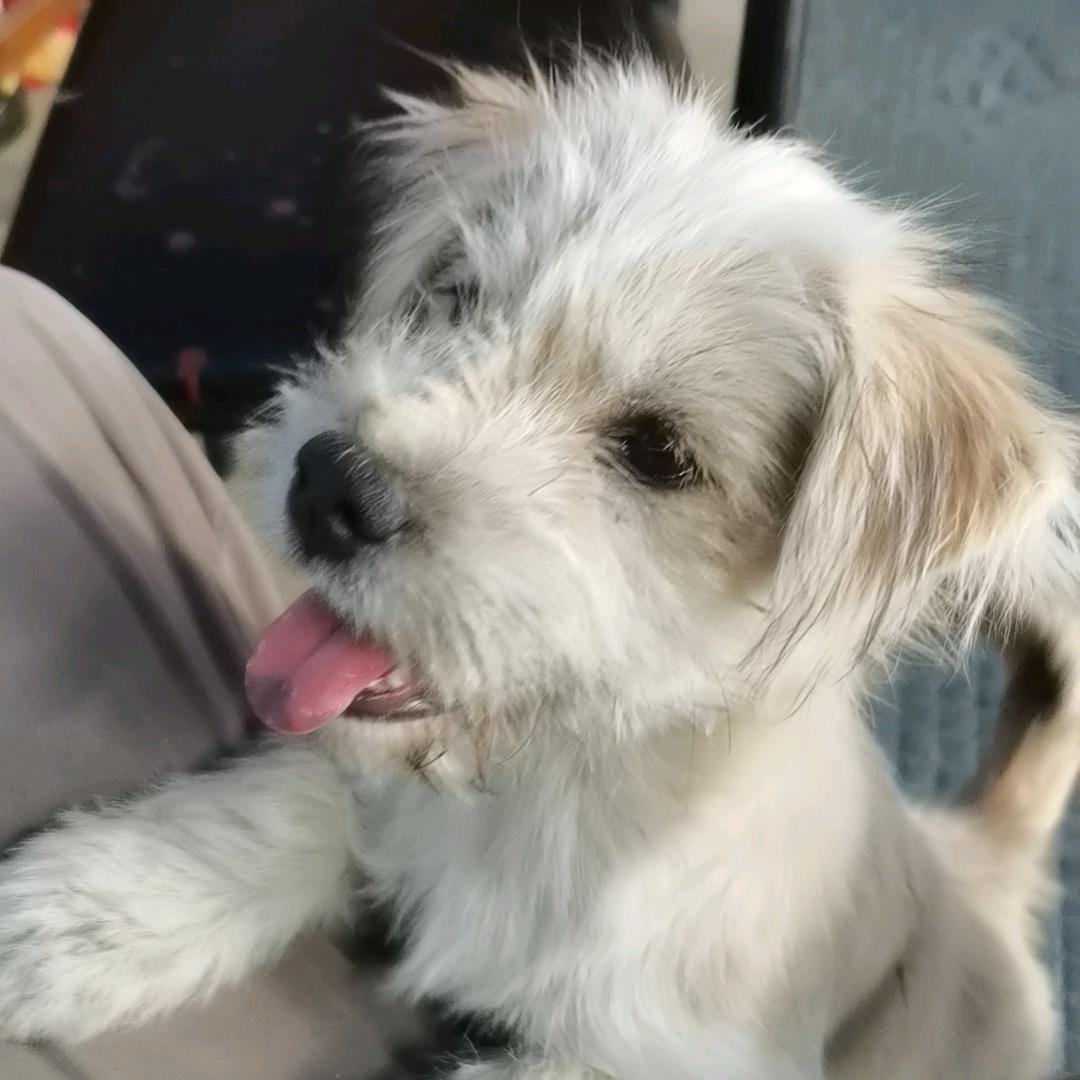 感觉