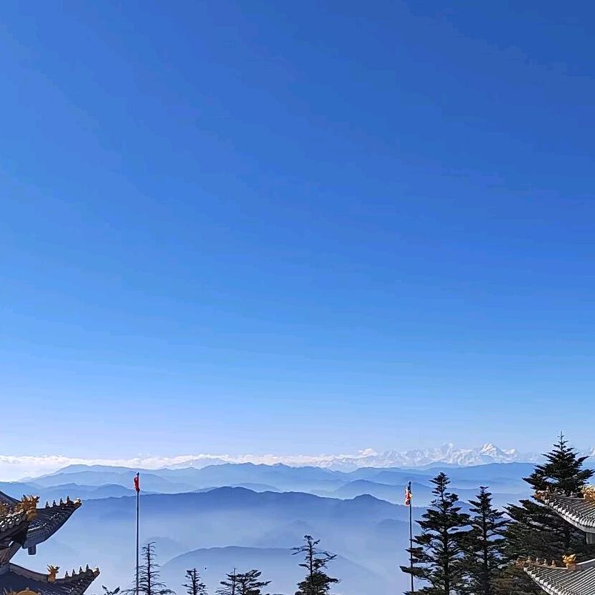 和润吾醒茶叶