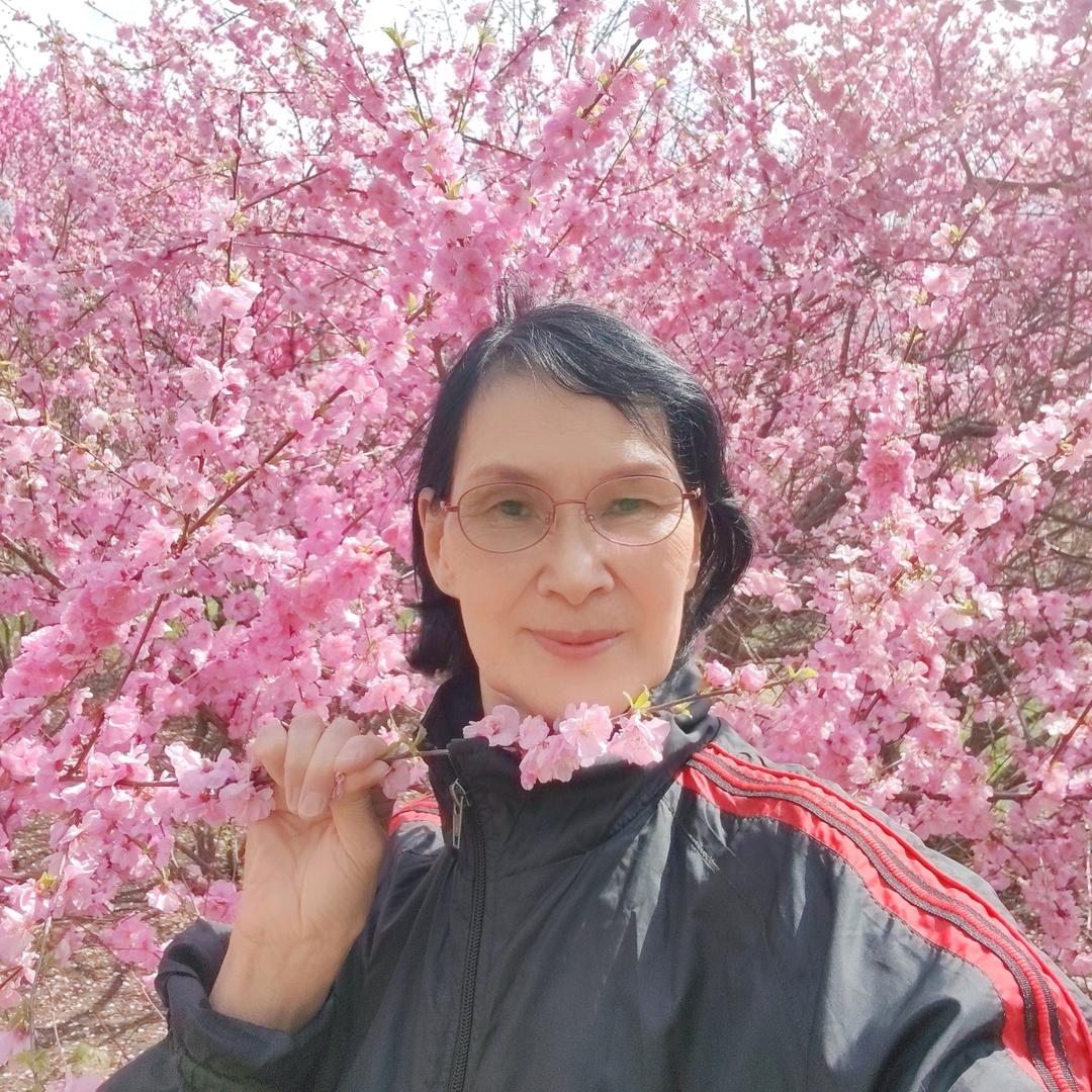 兰花草🌺
