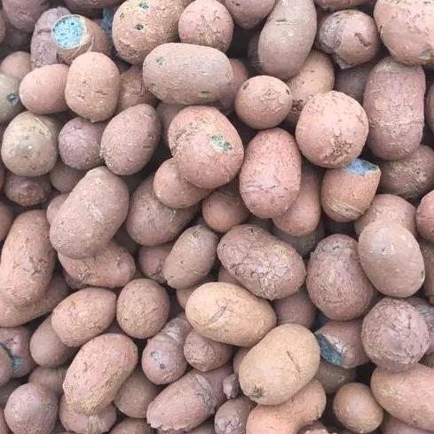 海南铭诚建旺陶粒