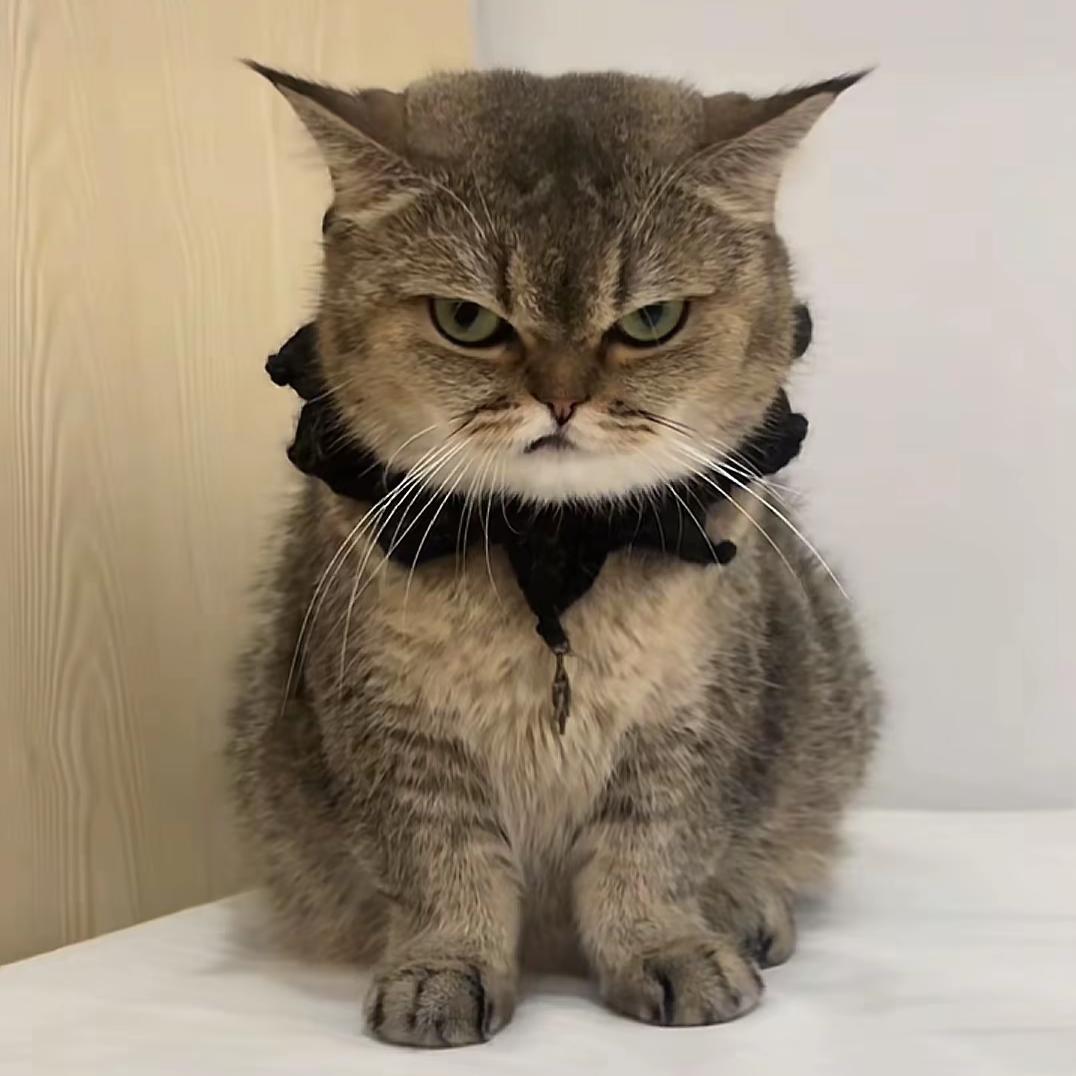 ℒℴѵℯ俗·人࿐