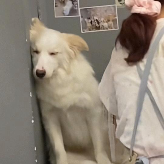 呵呵哈哈哈