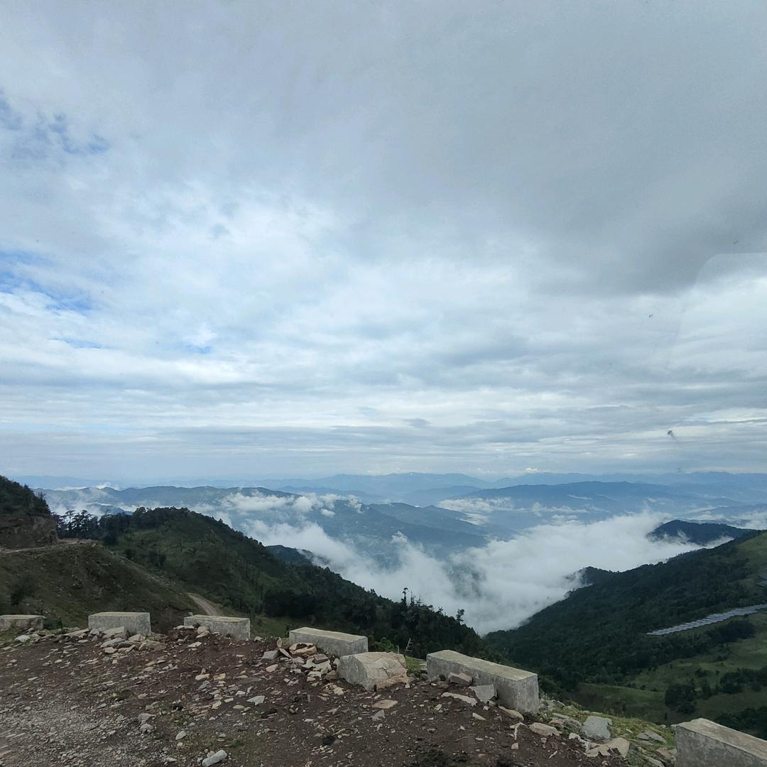 💕 ❧⁵²⁰李李原上草🦹¹ᶟ₁₄