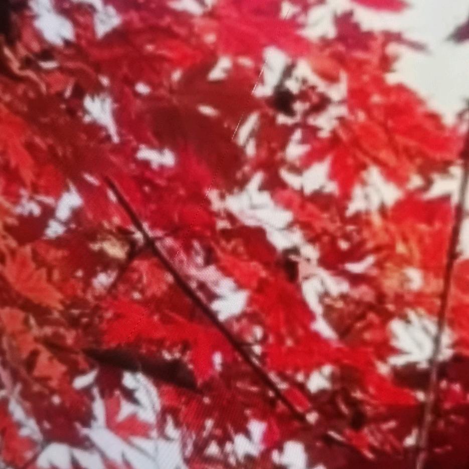 拾光酿酒
