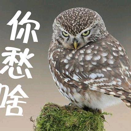 江山☞美人