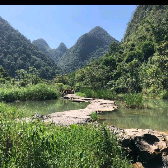 清晰百货