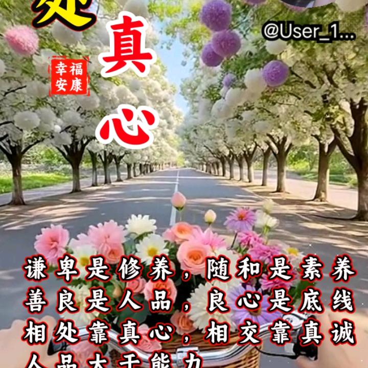 心金。