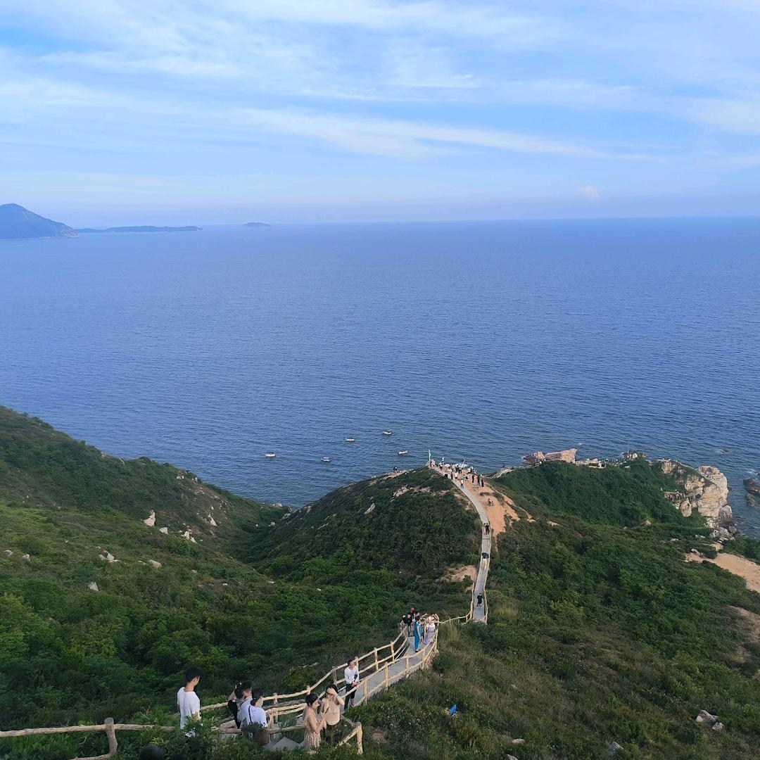 果哥，。。。。，