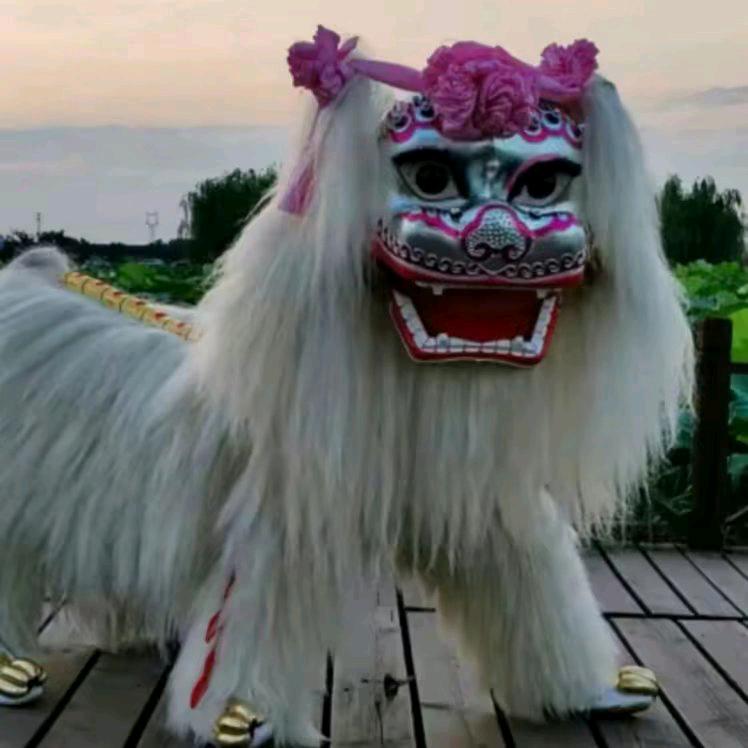 昭通尹家湾子舞狮队