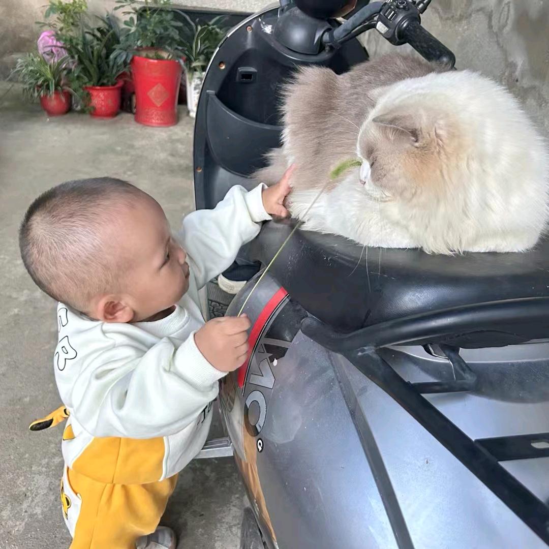 泡泡dei外婆