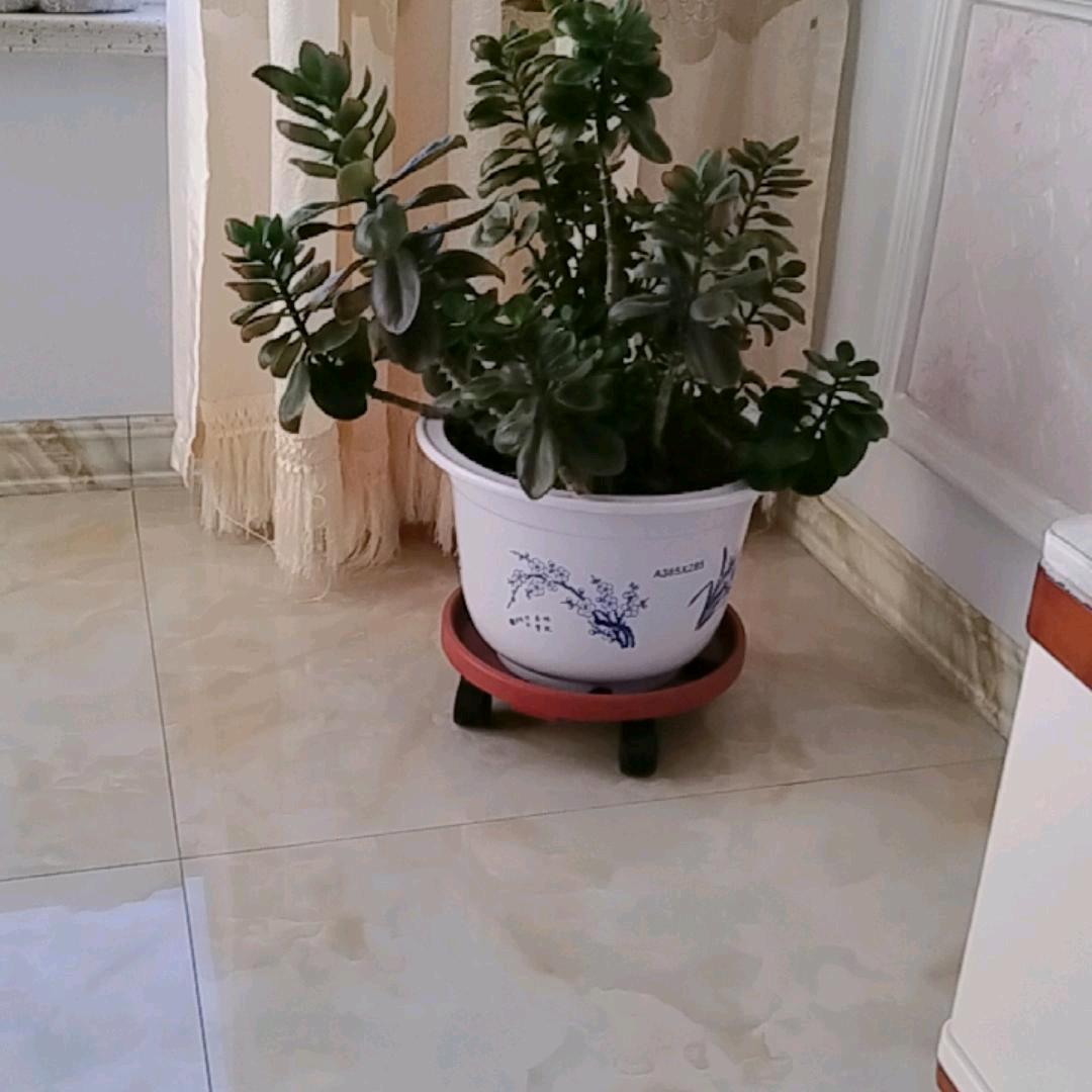 @。冰逸雪涵