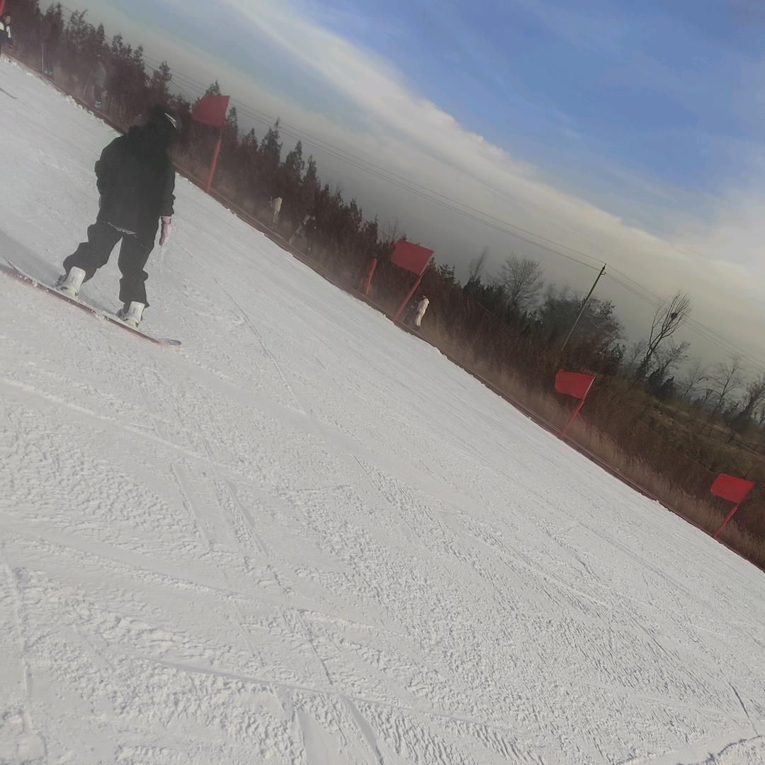 滑雪教学单板，直