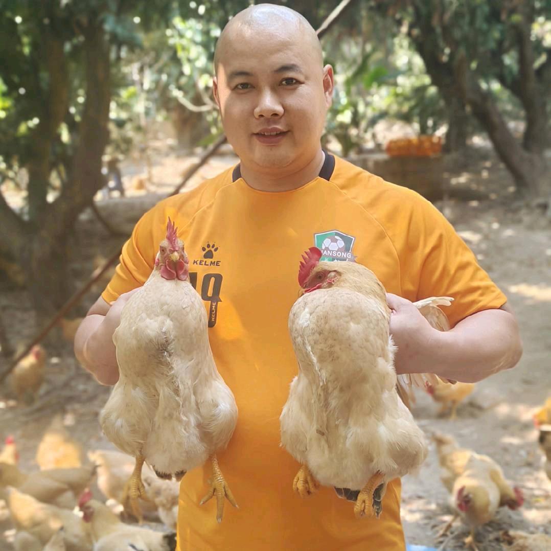 海哥生态农场（🐓）
