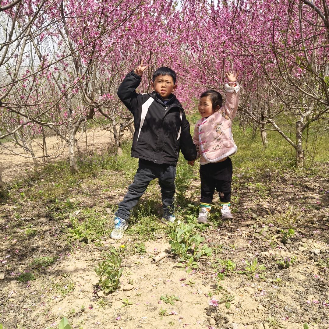 婷婷妈的小摊