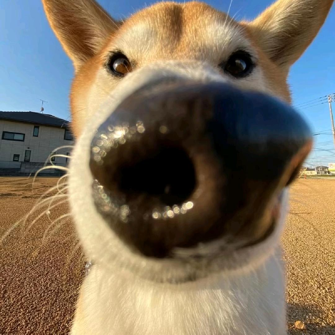 乞丐