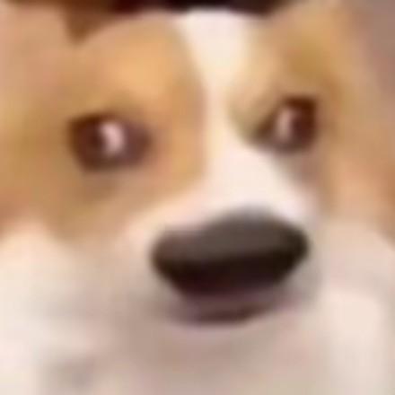 微乐啊芬真人实战