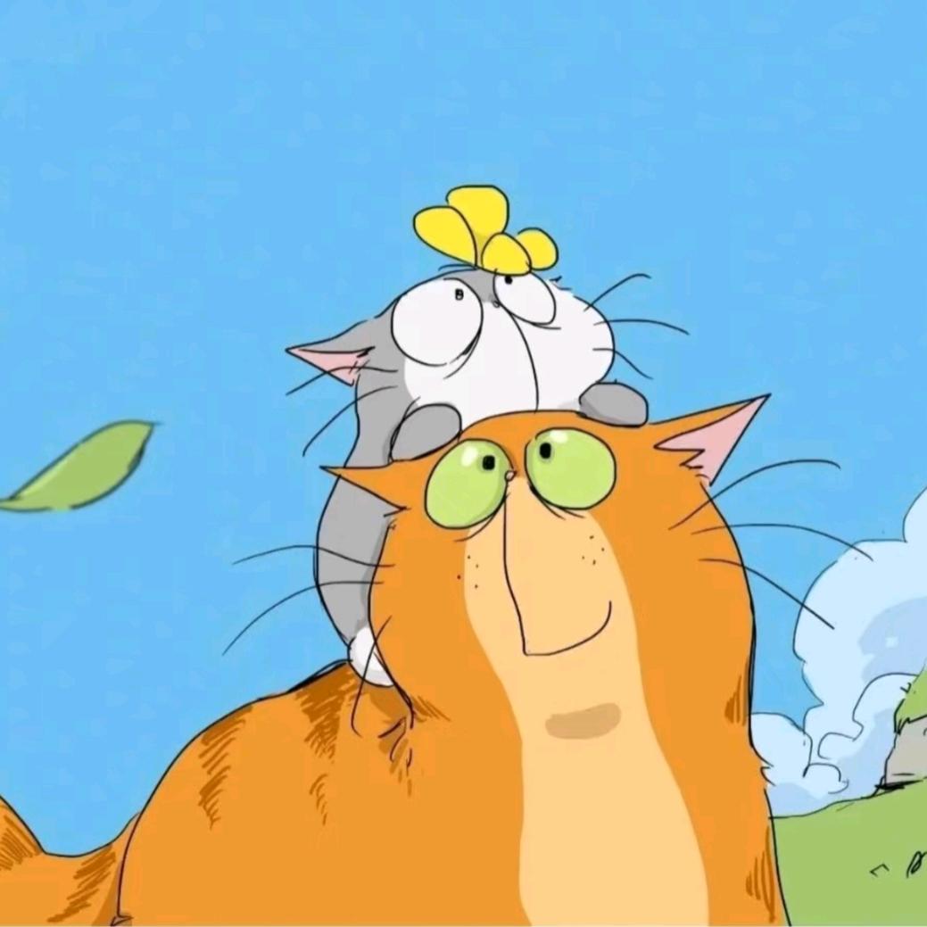 跳舞的小熊小羽