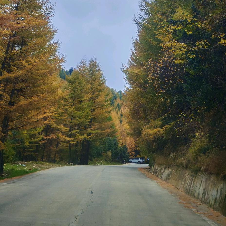 雨中慢歨装修哥