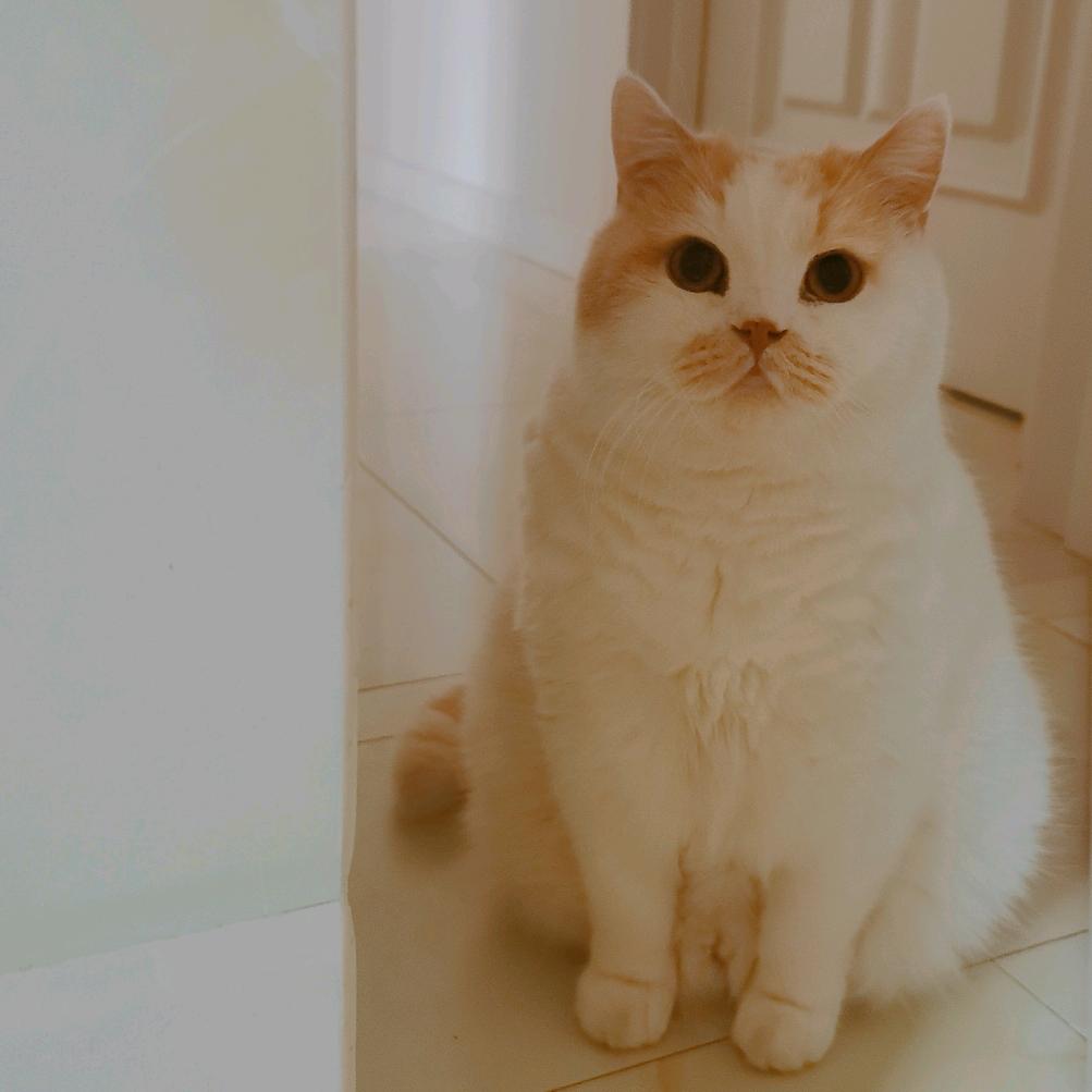 红蓝铅笔绿橡皮