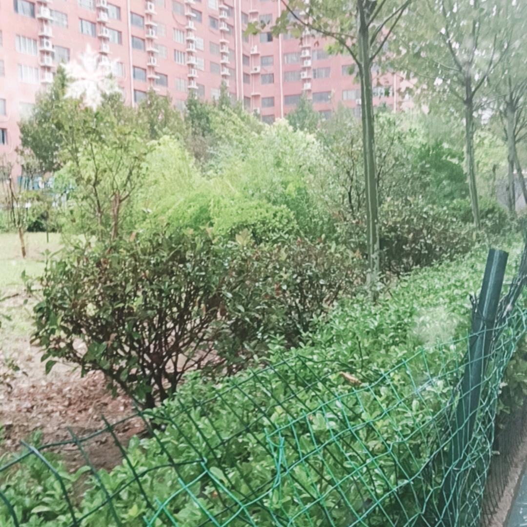 郑州喜欢戏