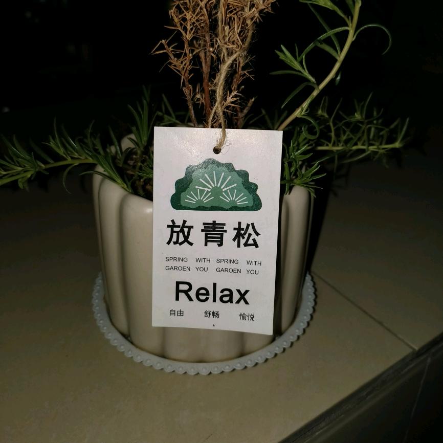 顶尖