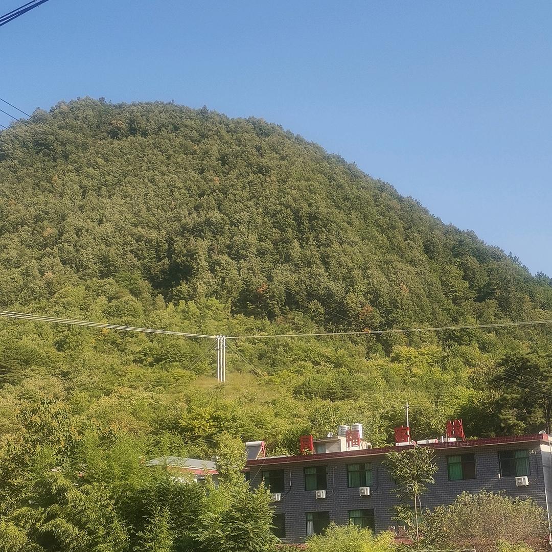 笑颜如花
