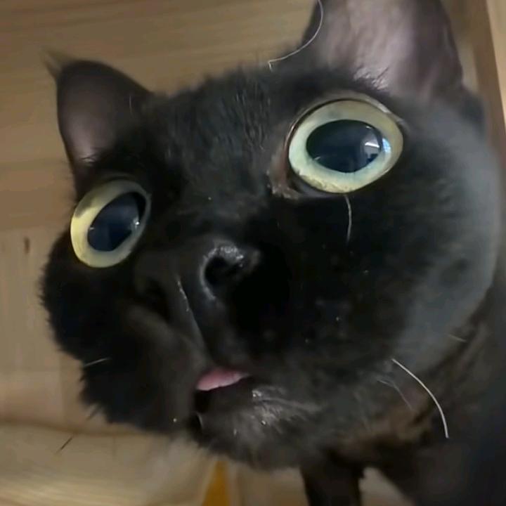 We.头像