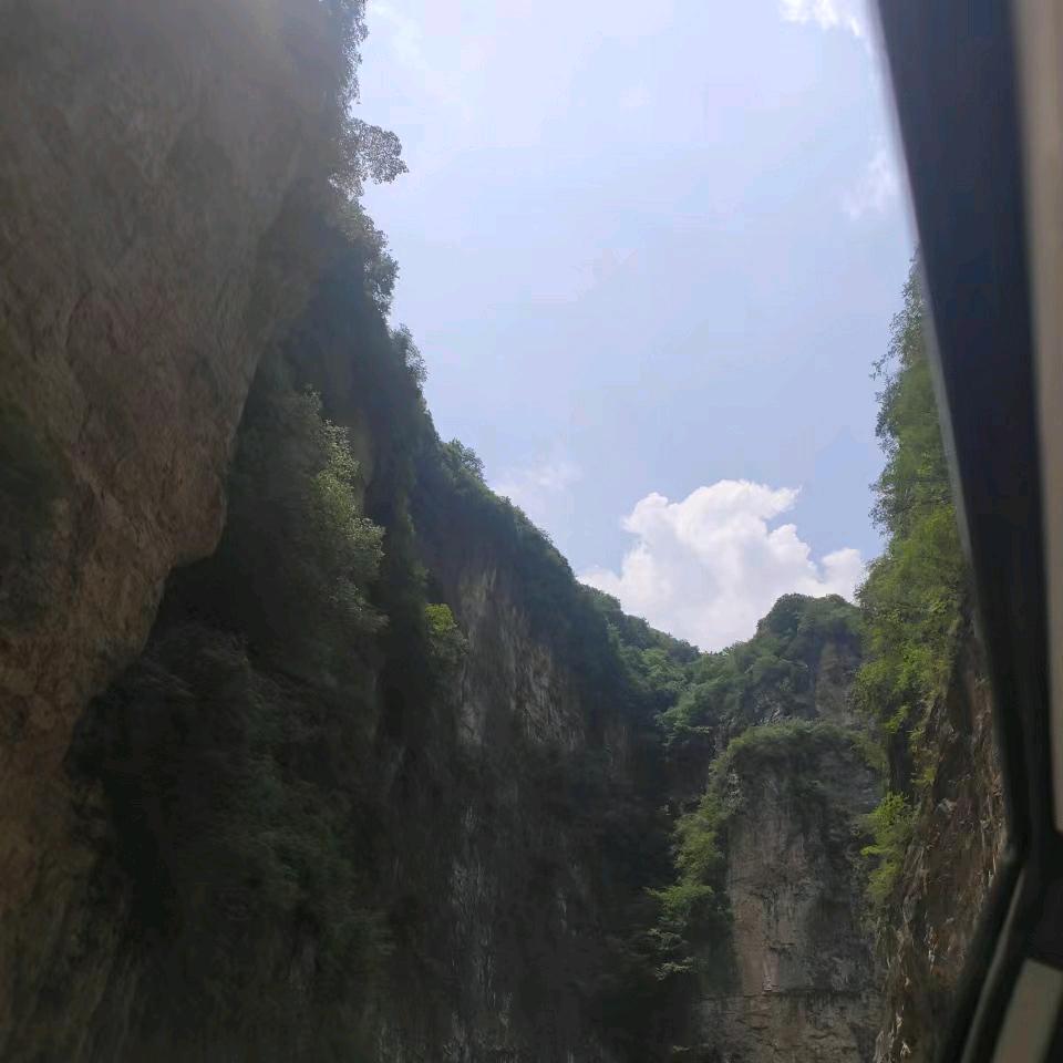 圆神📈未来席位就叫竹林大道吧