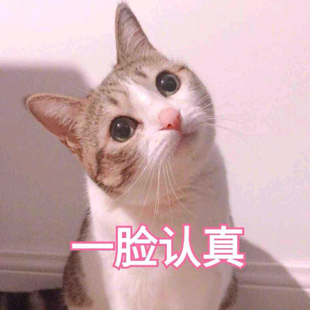 猫头KAtt