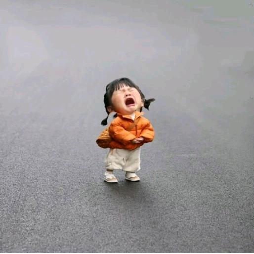 菩提果