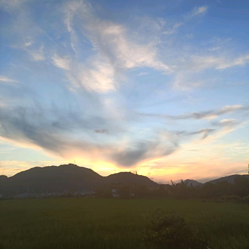 杨家大小姐《啊旭》