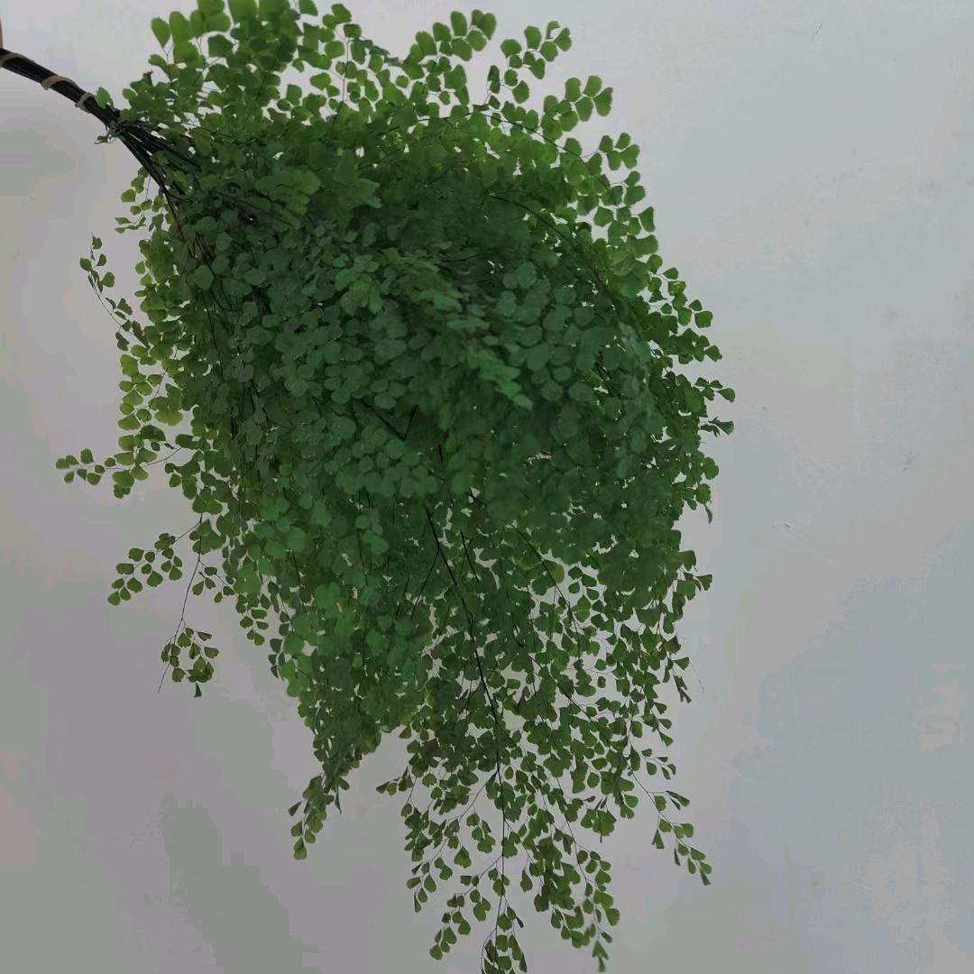 朝文