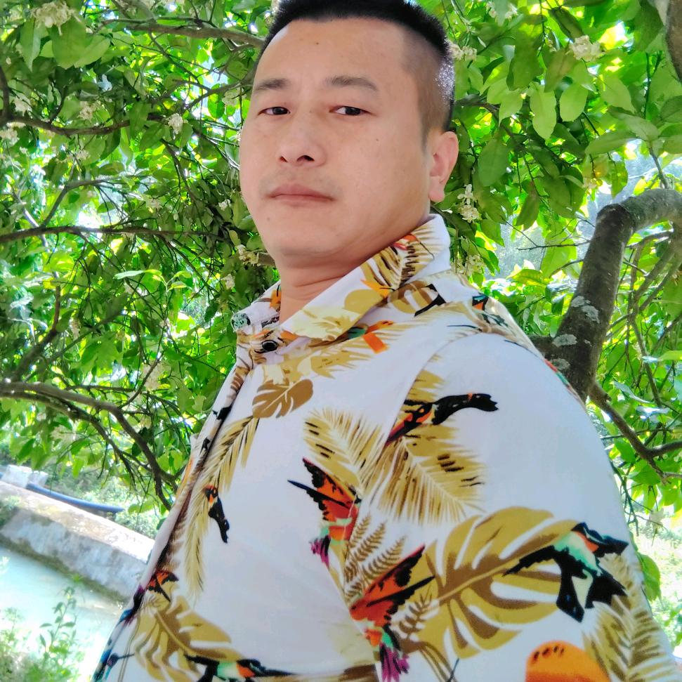 往后余生，各自安好