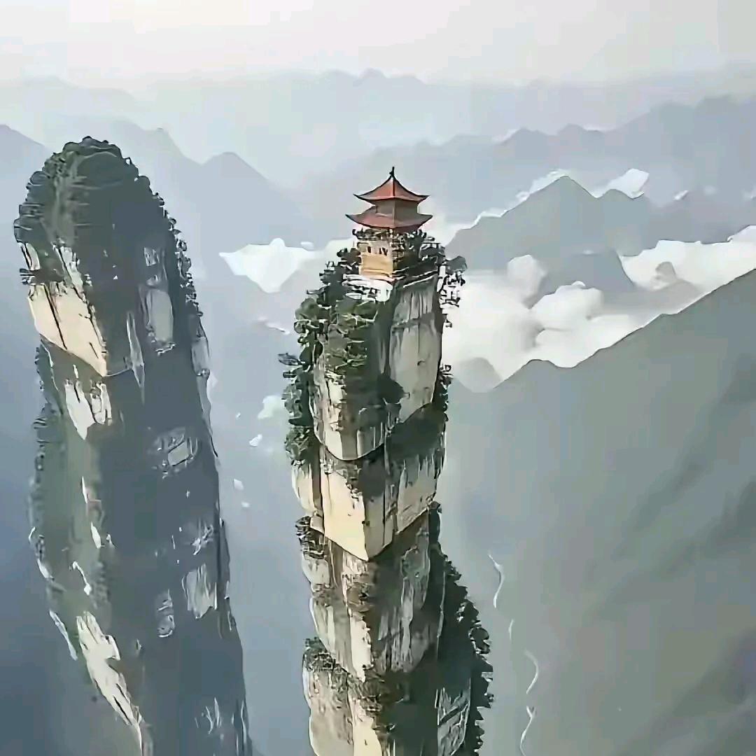 飞碟领航员头像