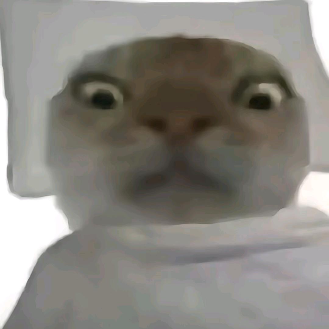 关你西红柿