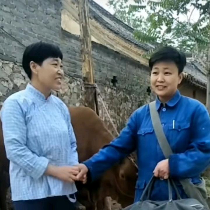 踏雪寻梅
